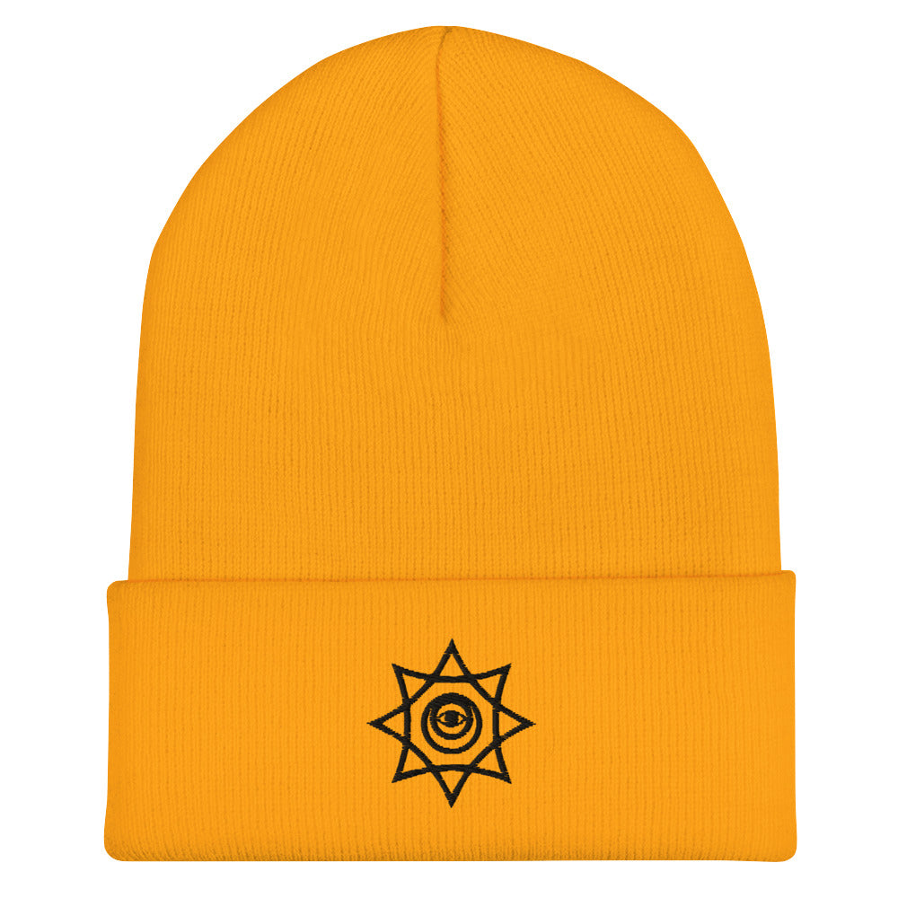 The Starving Artist Beanie