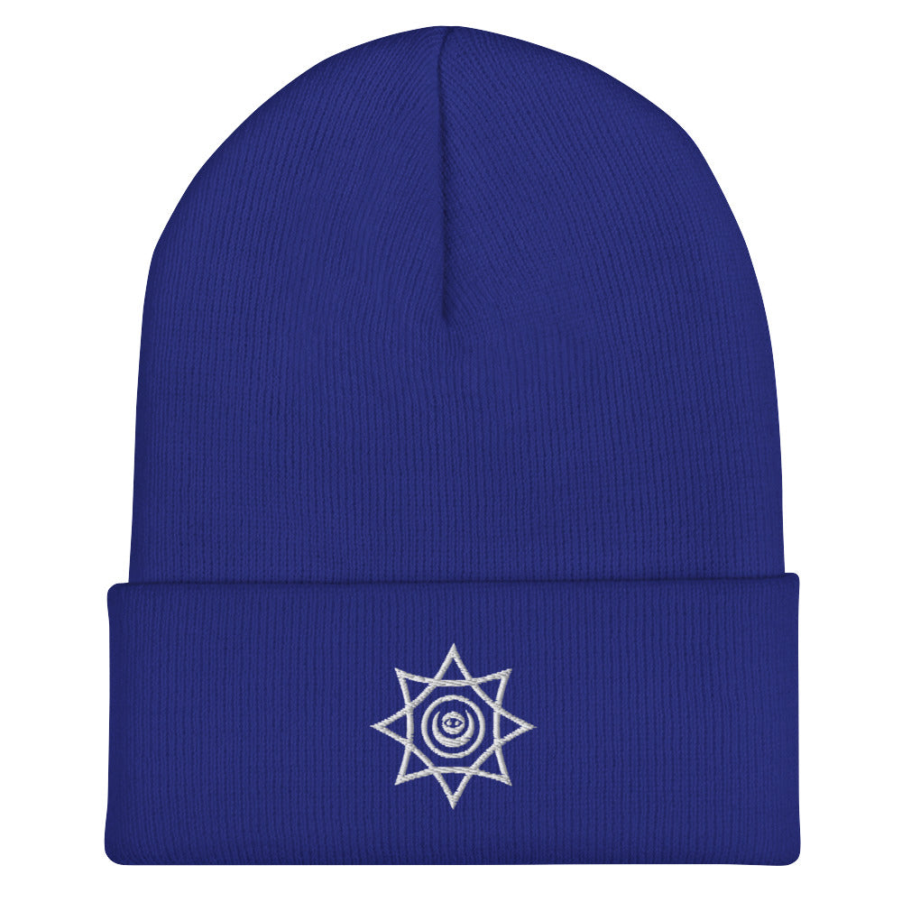 The Starving Artist Beanie